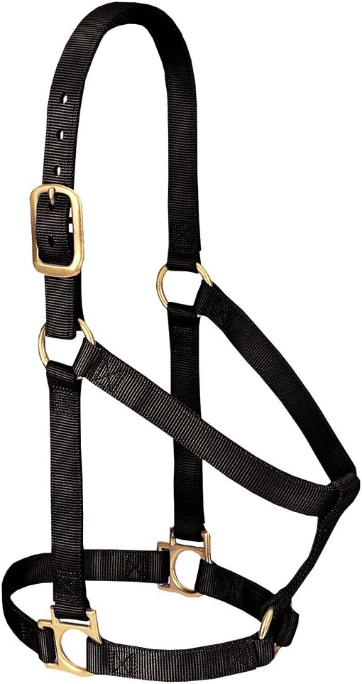 Weaver Leather Patterned Non-Adjustable Halters