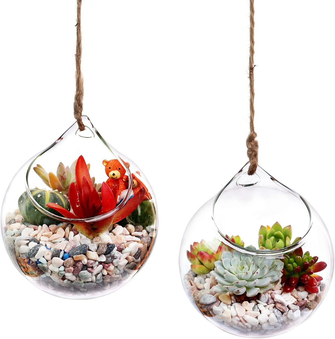 5Pcs Ball Air Plants Succulents Wall Hanging Planters Glass Terrariums 